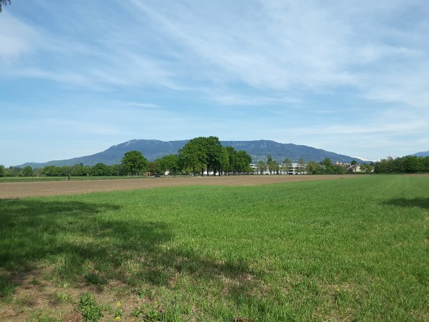 20170430_162230_Richtone(HDR)