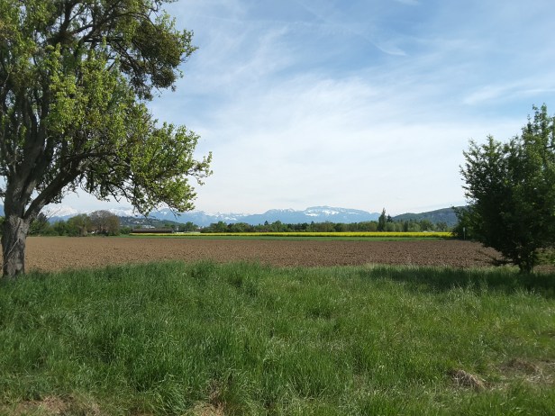 20170430_162300_Richtone(HDR)