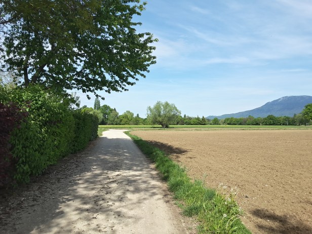 20170430_162412_Richtone(HDR)