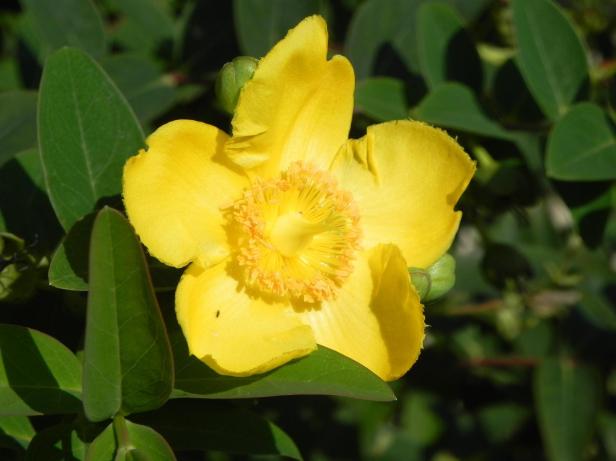 15025223_10154457760930860_6812912858866385335_o