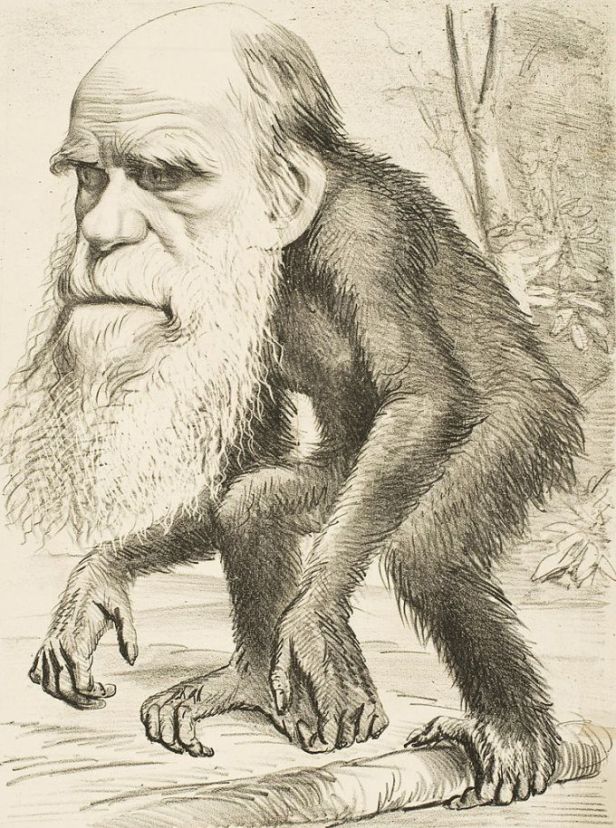 761px-editorial_cartoon_depicting_charles_darwin_as_an_ape_28187129