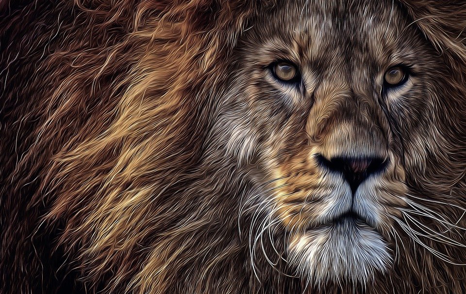 Cette image a un attribut alt vide ; le nom du fichier est lion-5829313_960_720.jpg